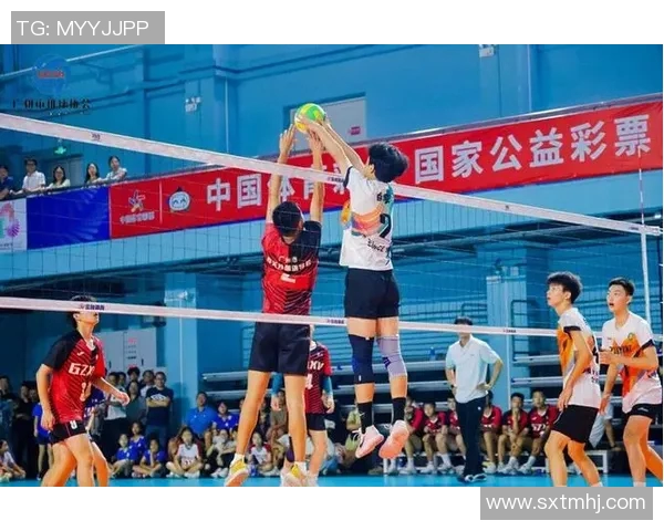 广州排球队的奋斗历程与荣耀时刻全景纪实